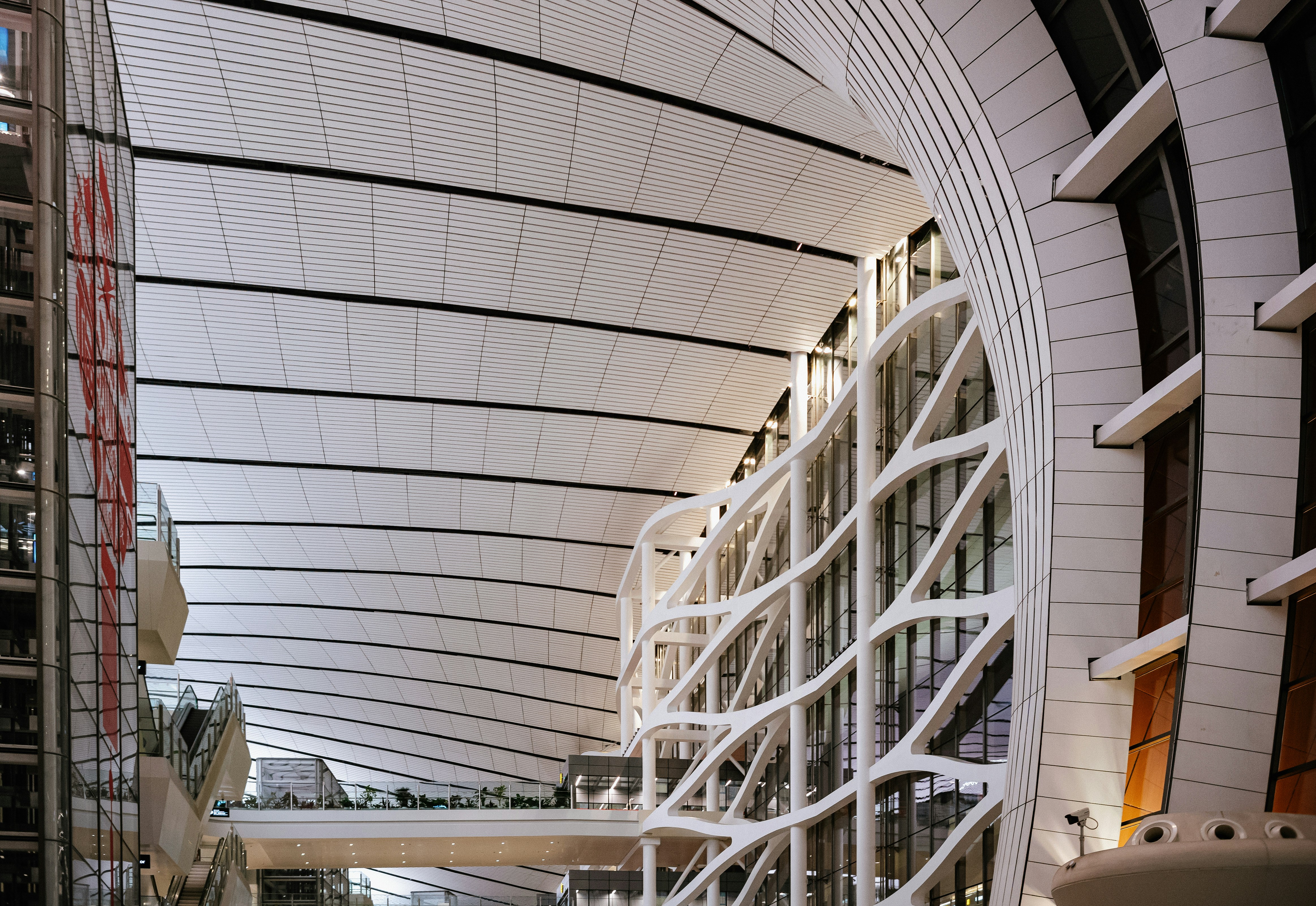 Photo by tommaomaoer