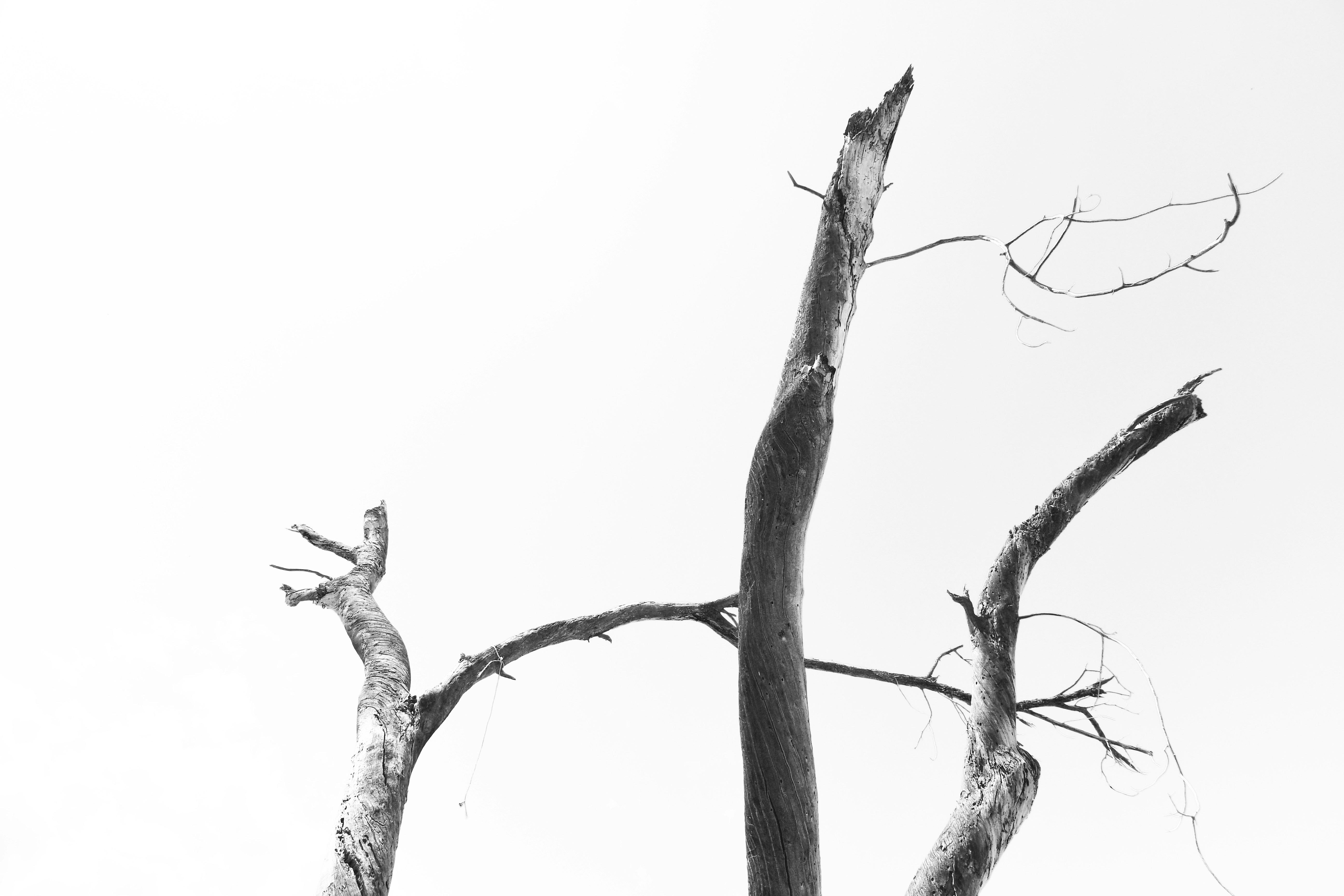 Photo by harlynkingm