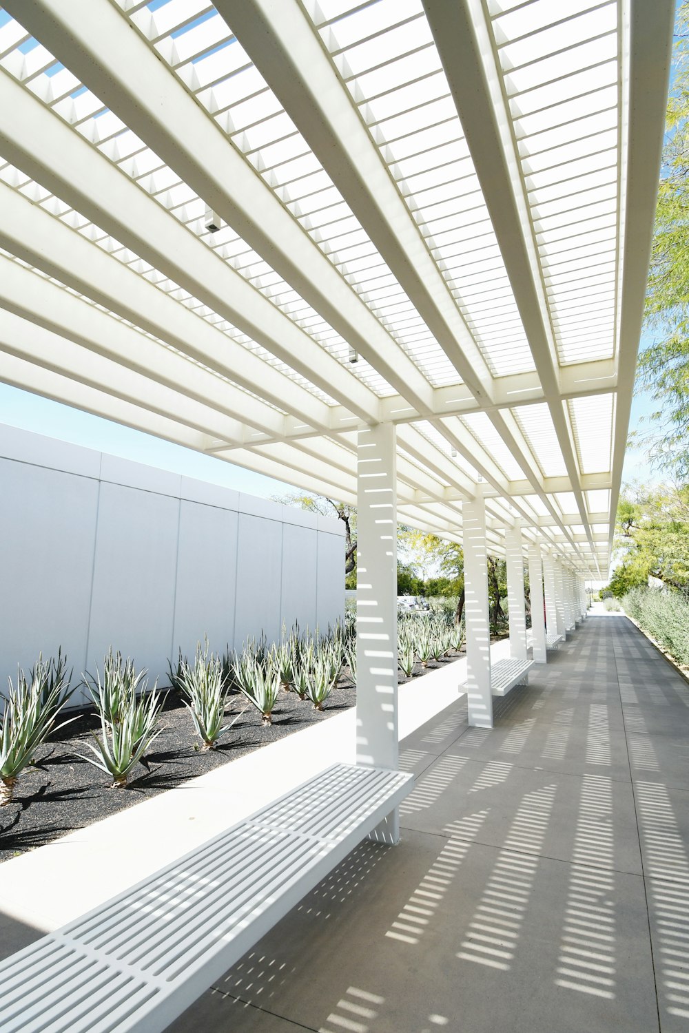 a long white covered walkway lined with plants