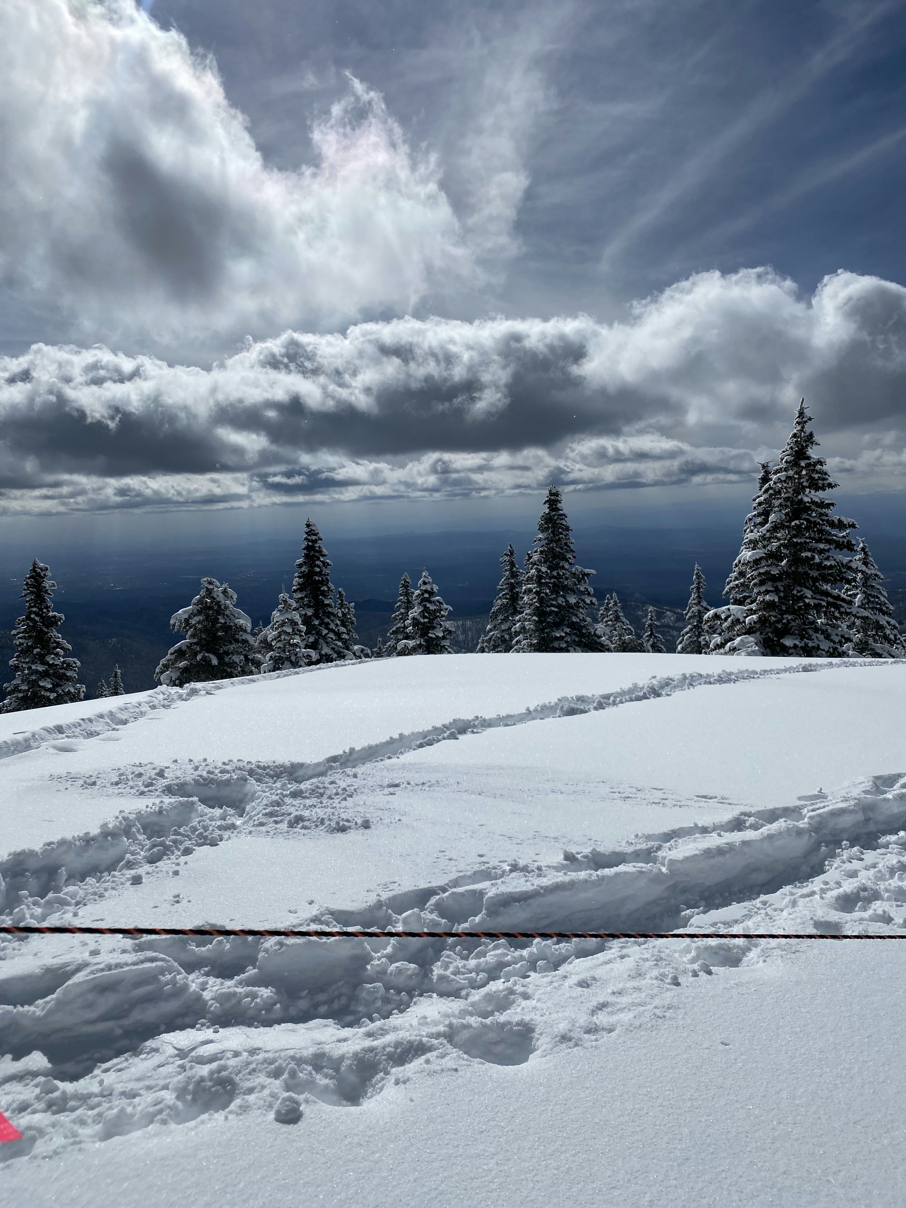 Photo by ksauercooks4u