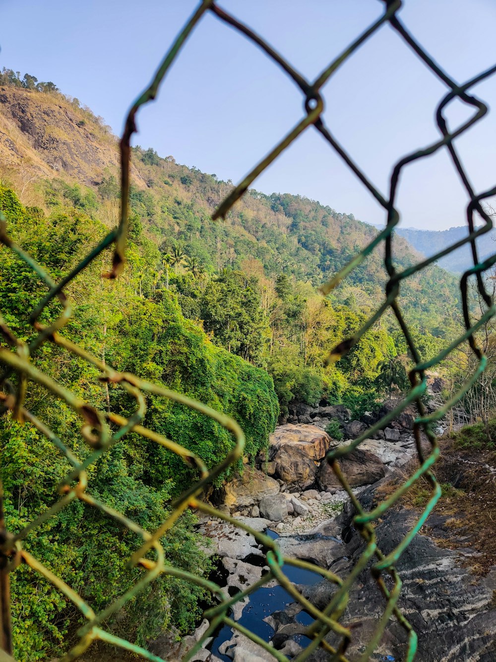 a river running through a lush green forest