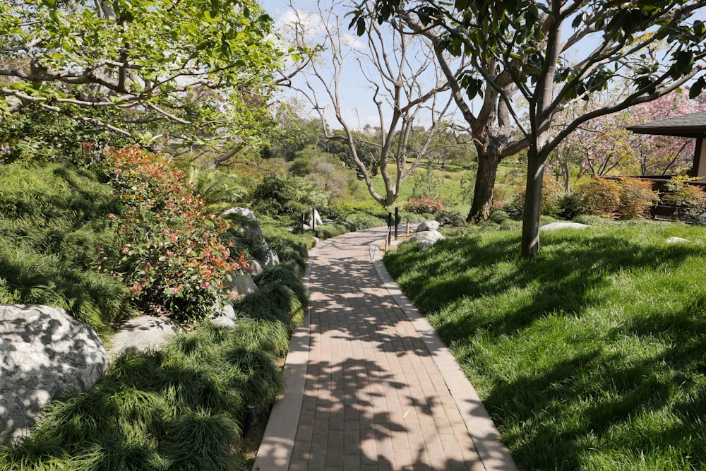 a walkway in the middle of a lush green park