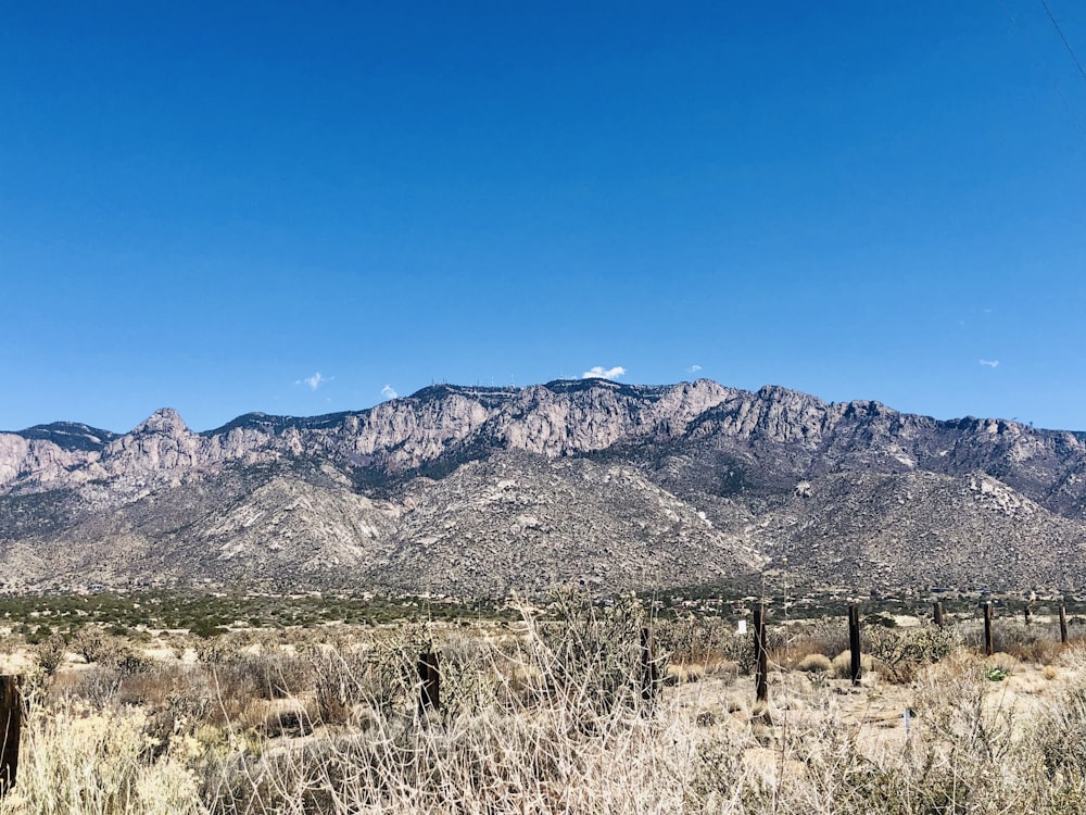 a view of a mountain range in the distance