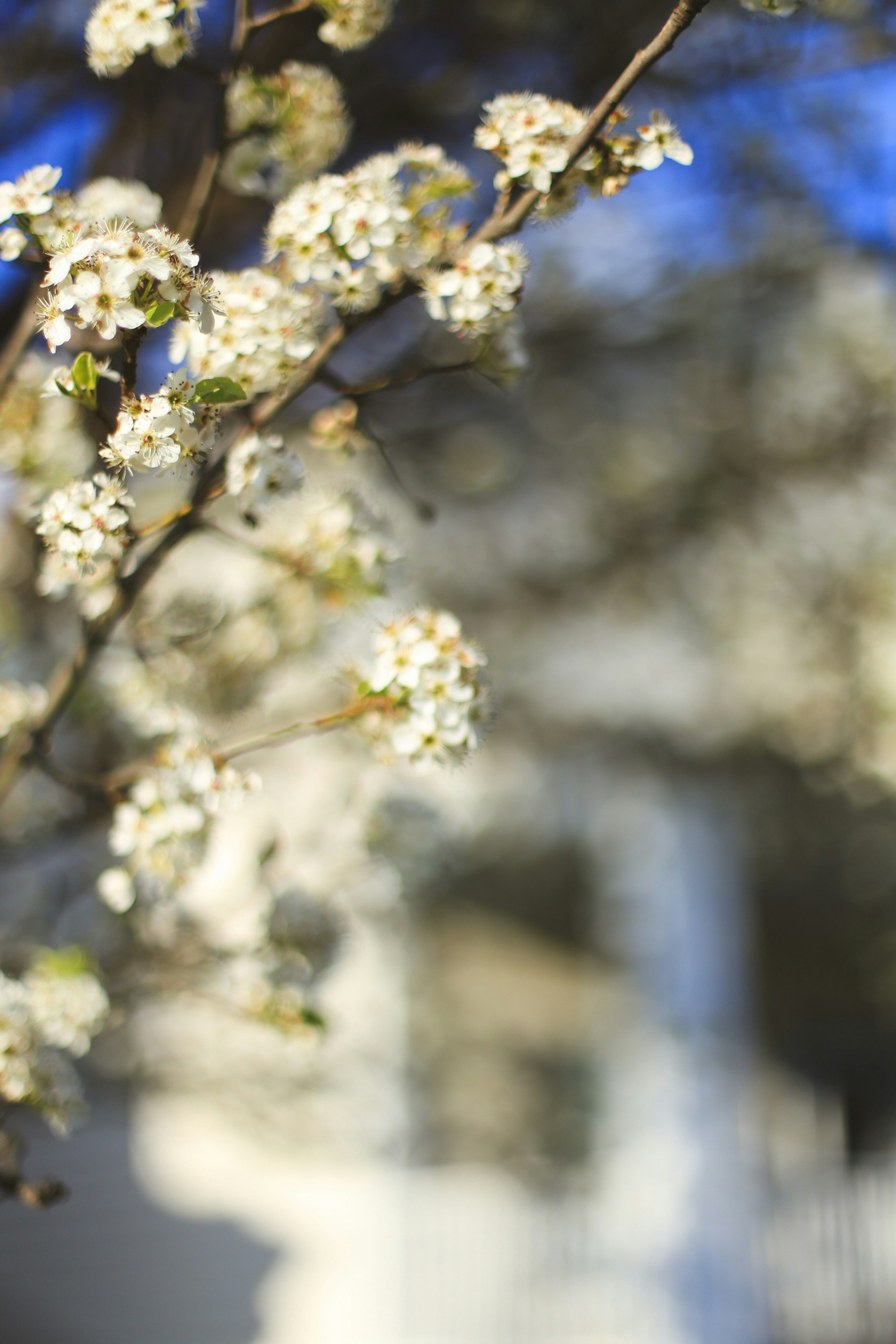 Photo by jessicalfadel