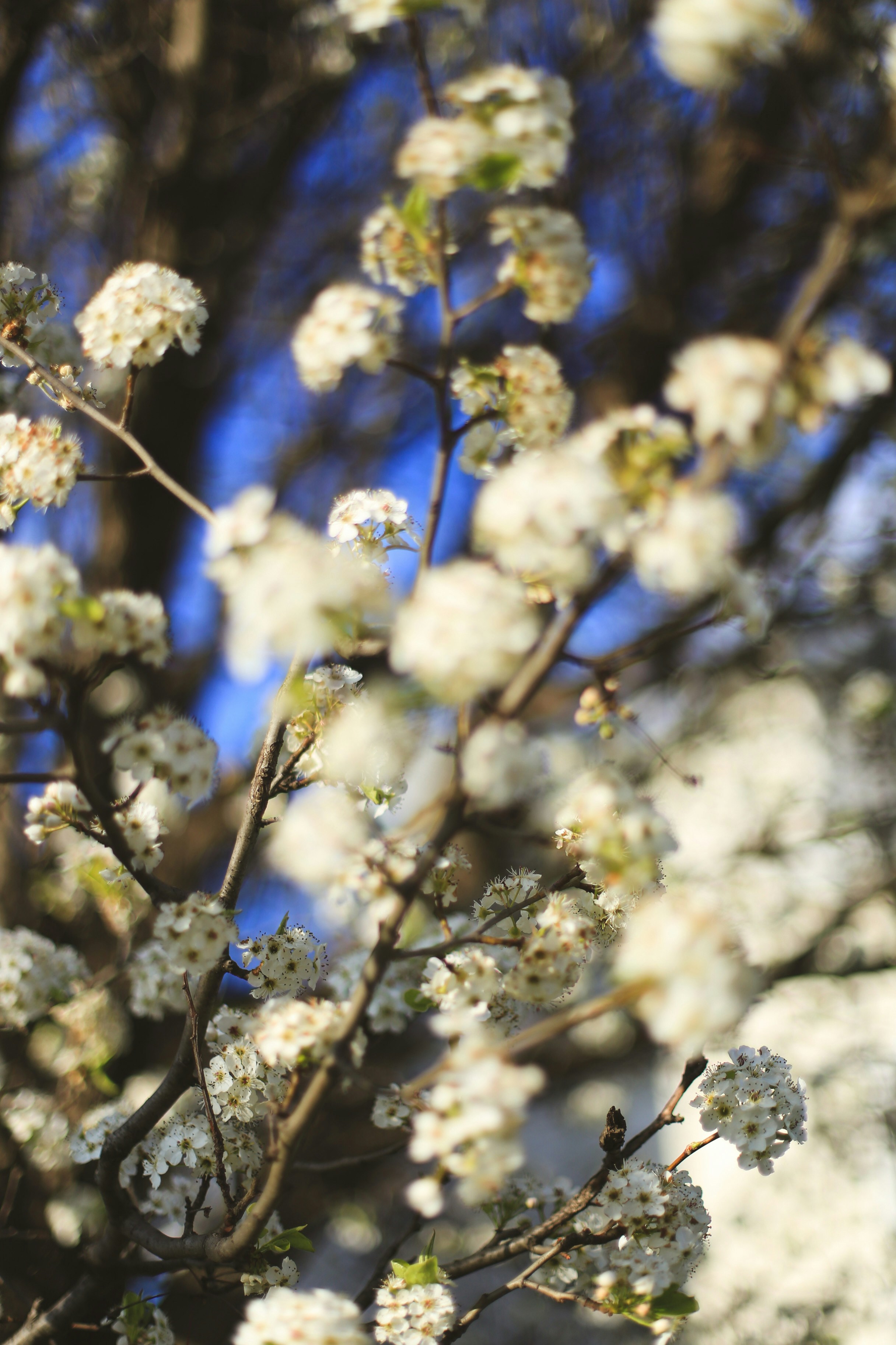 Photo by jessicalfadel