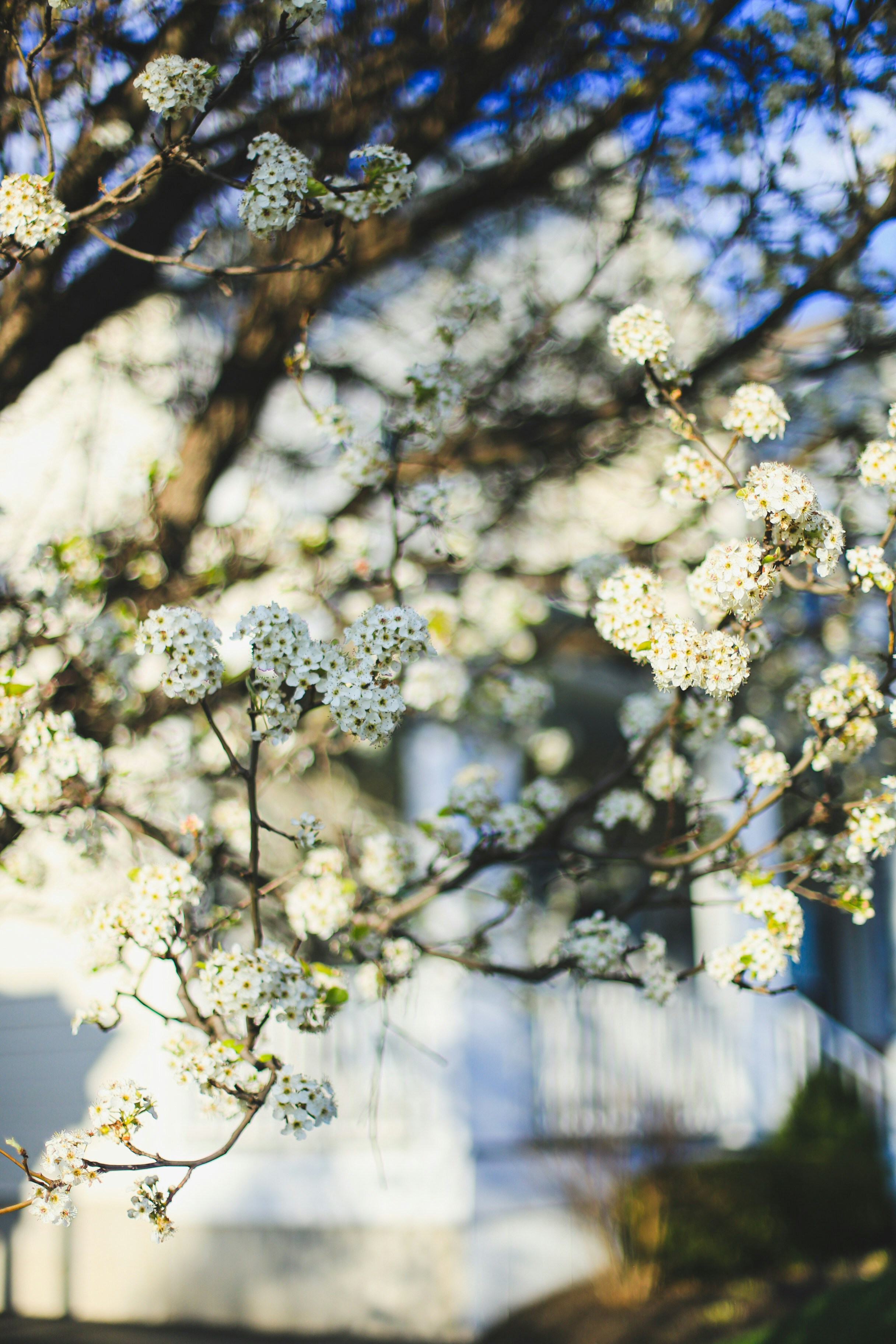 Photo by jessicalfadel