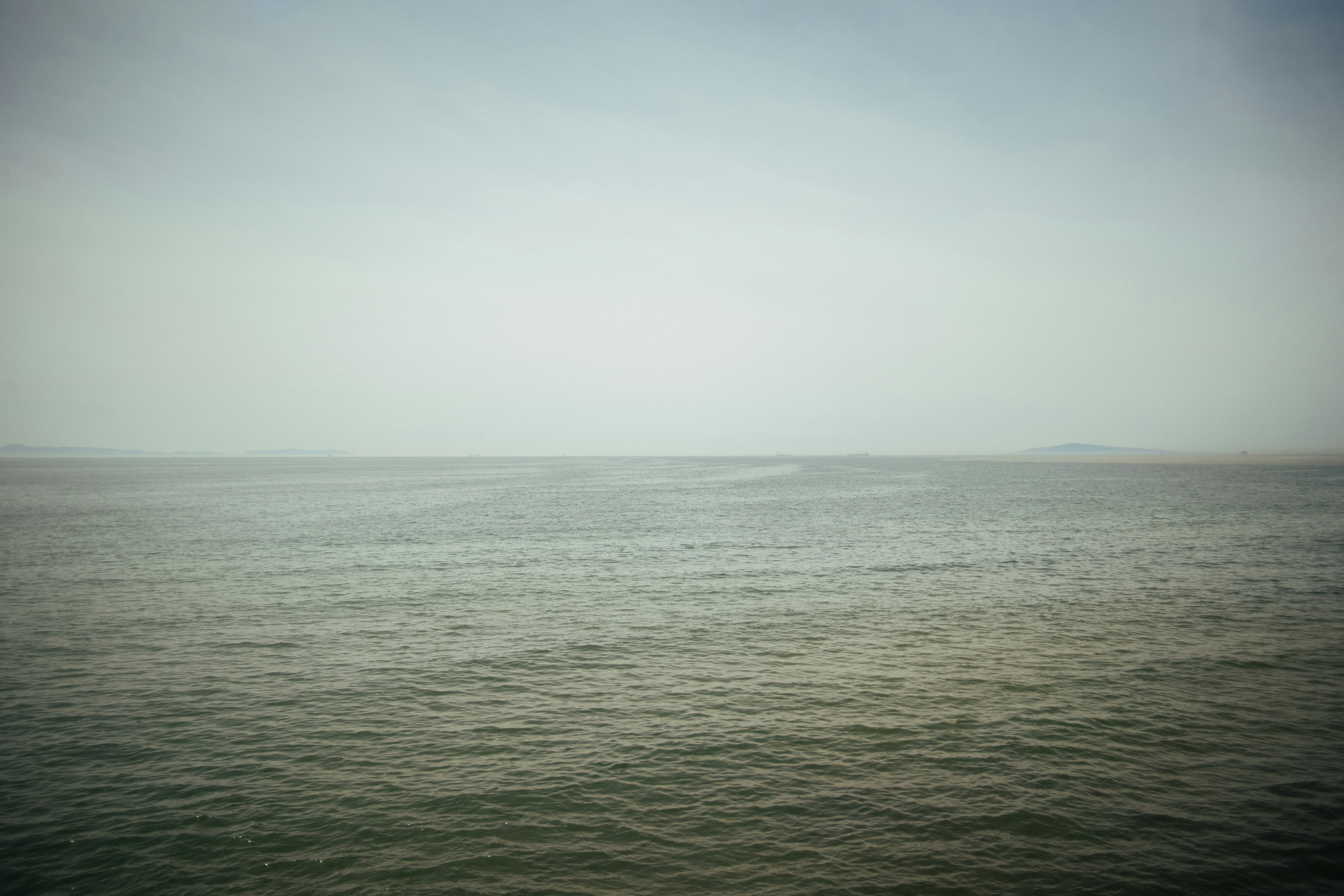 Photo by dimadallacqua