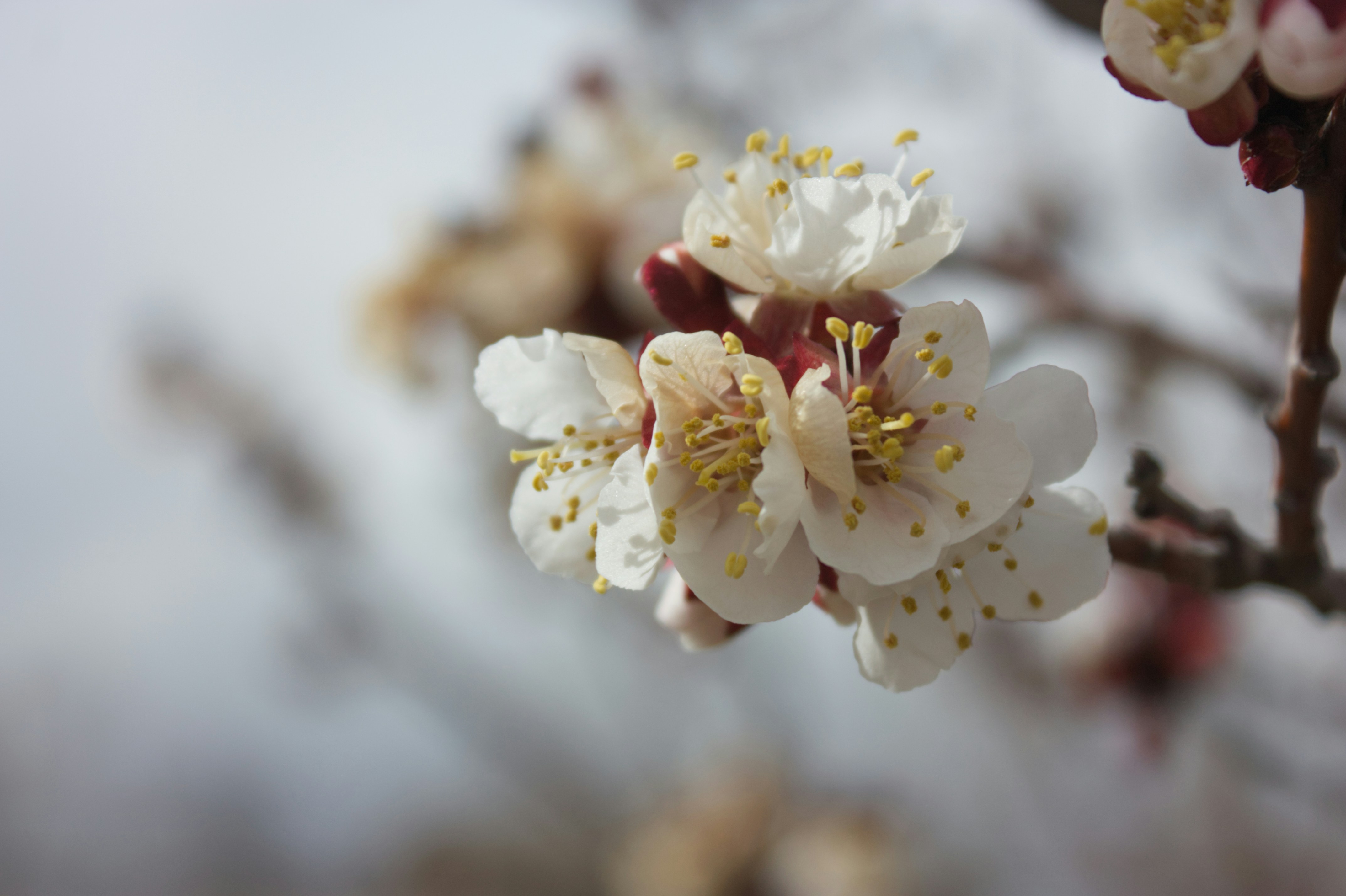 Photo by sforlphotography