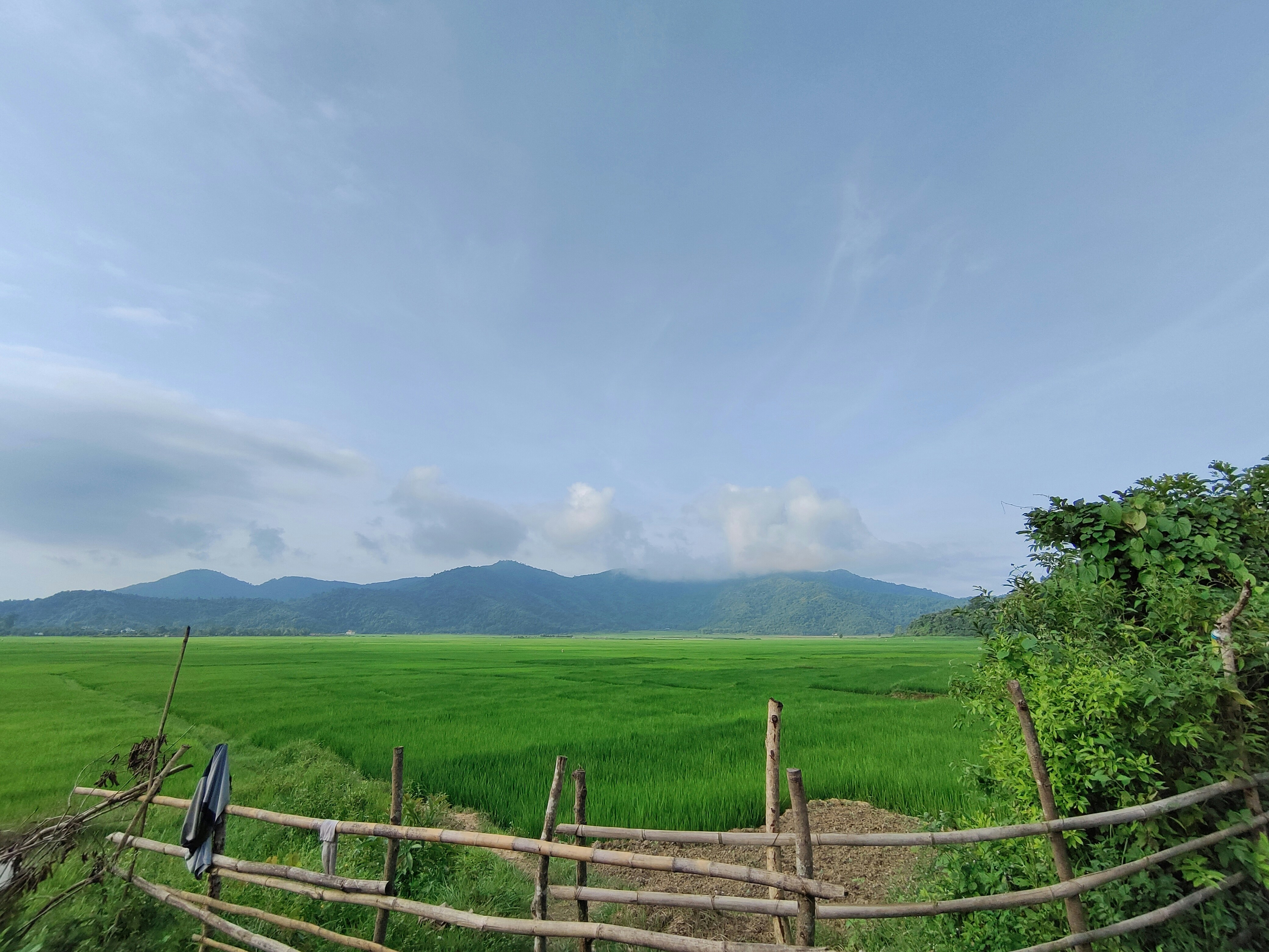 Photo by kushalmang1