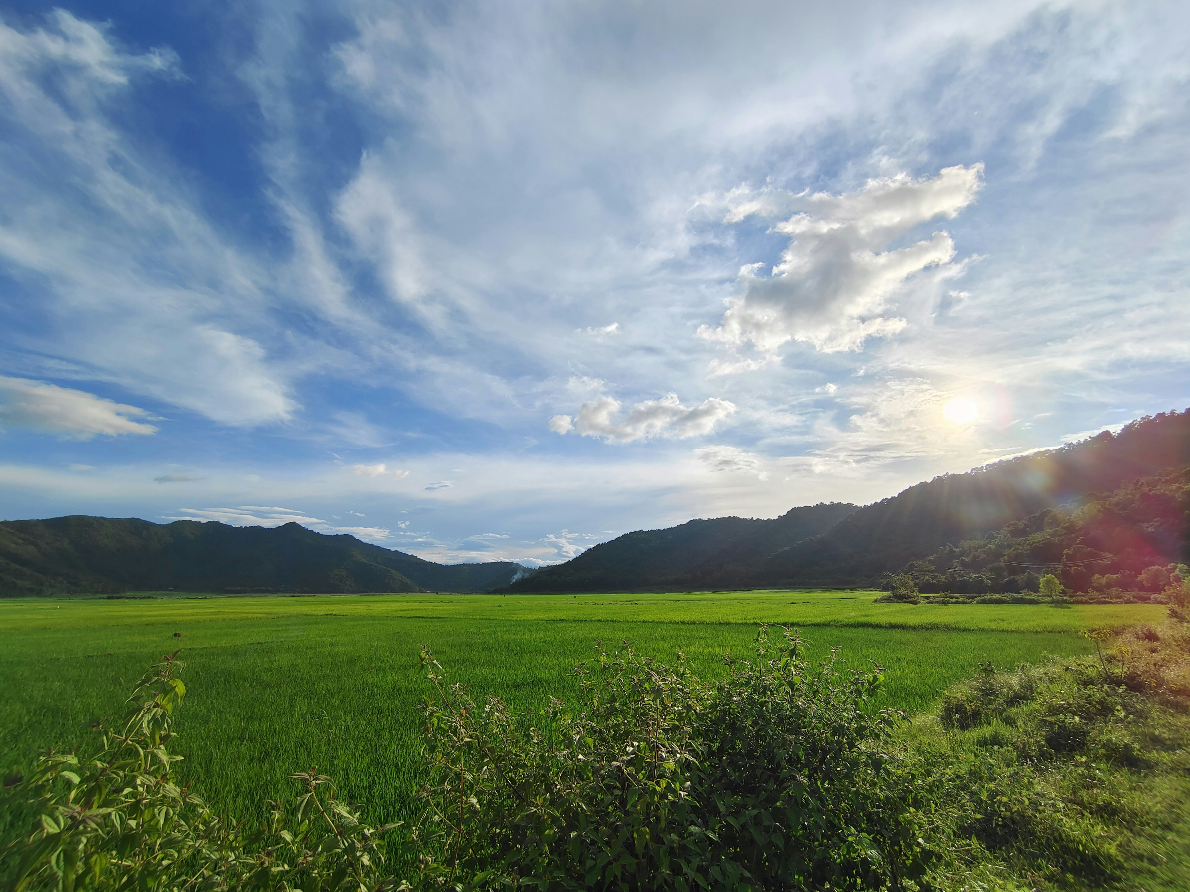 Photo by kushalmang1