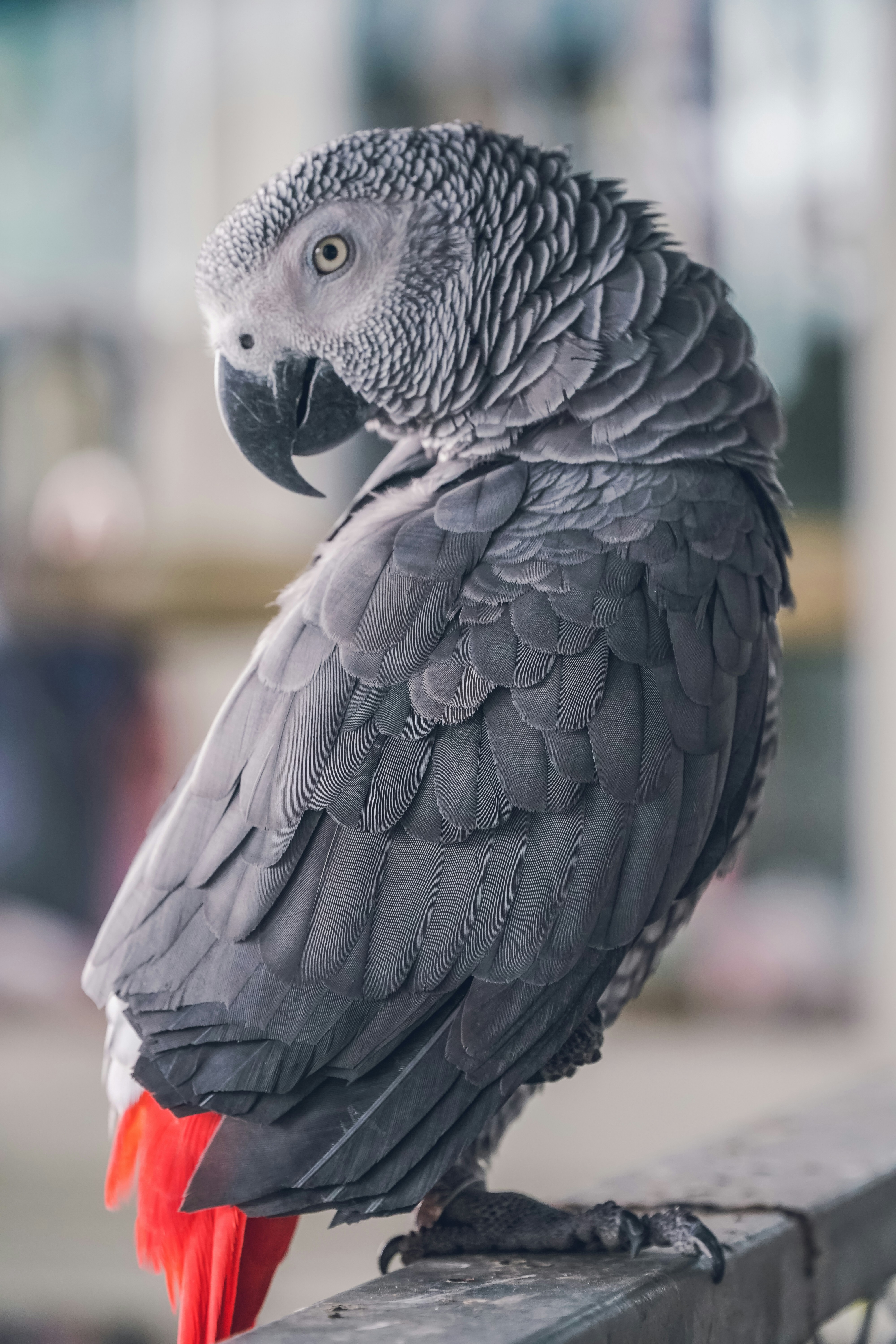 Photo by siaaa_photography