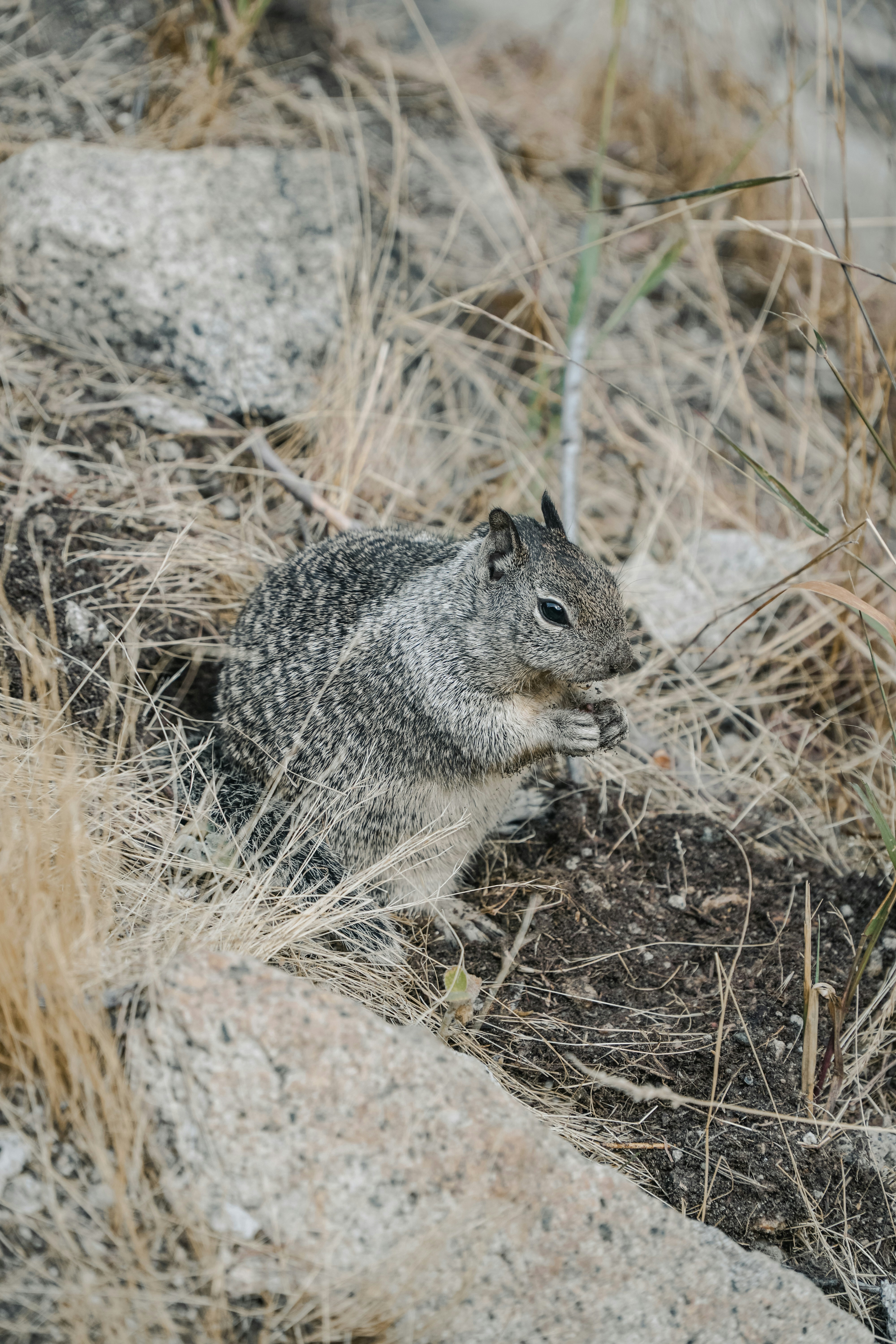 Photo by siaaa_photography