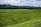 Expansive green fields extend across the landscape, with numerous individuals scattered throughout, appearing to be engaged in agricultural activities. The fields are neatly divided, and a line of trees runs along the horizon, separating the farmland from a partly cloudy sky.