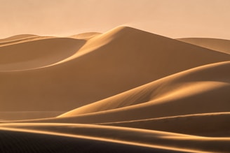 A cinematic frame of a serene desert tour captured with warm golden hues and dynamic shadows.