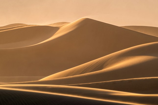 Golden sand dunes with smooth curves and gentle shadows are illuminated by warm sunlight, creating a serene and expansive desert landscape.