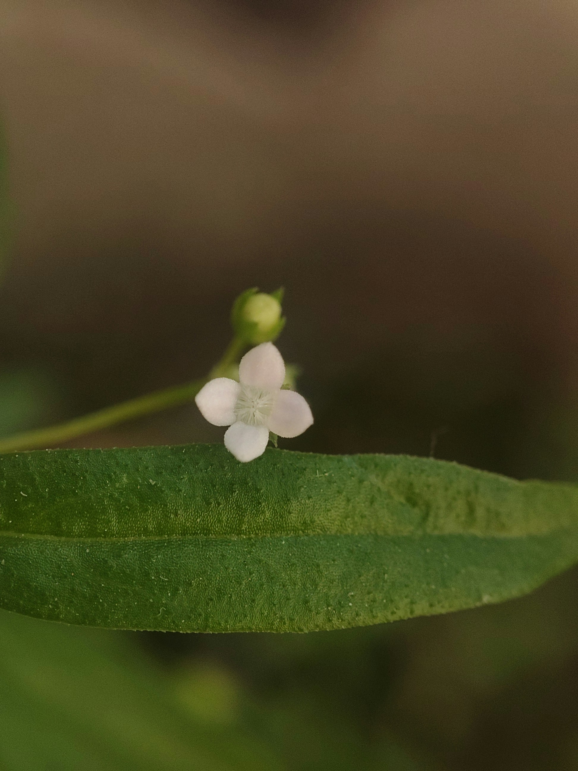 Photo by hetsuthar