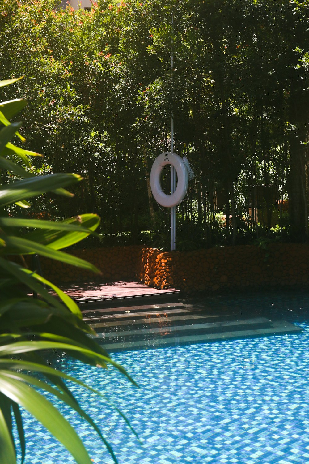 una piscina circondata da alberi e cespugli