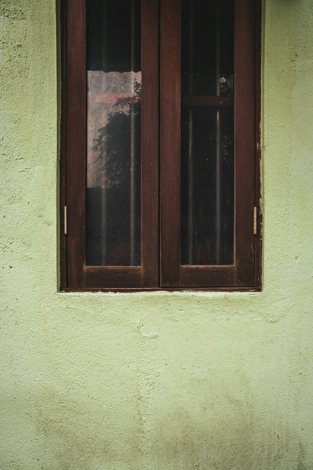 a cat sitting on a window sill in front of a window