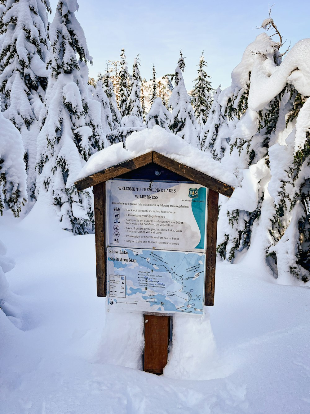 a sign in the middle of a snowy forest