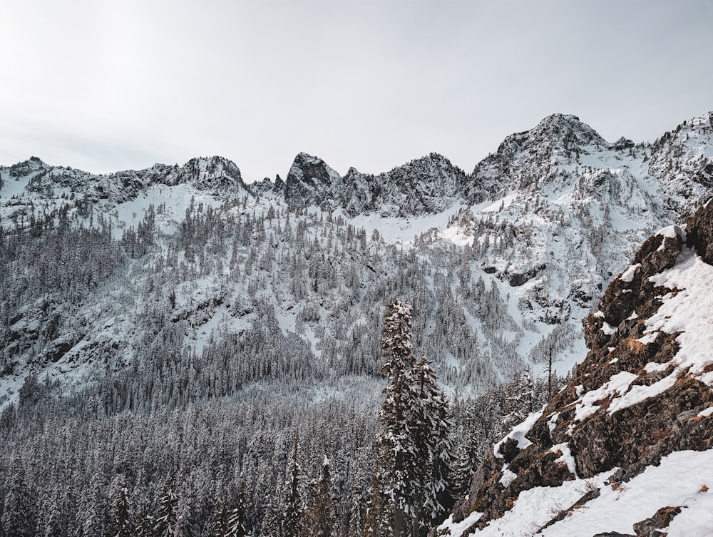 a mountain covered in snow with trees in the foreground