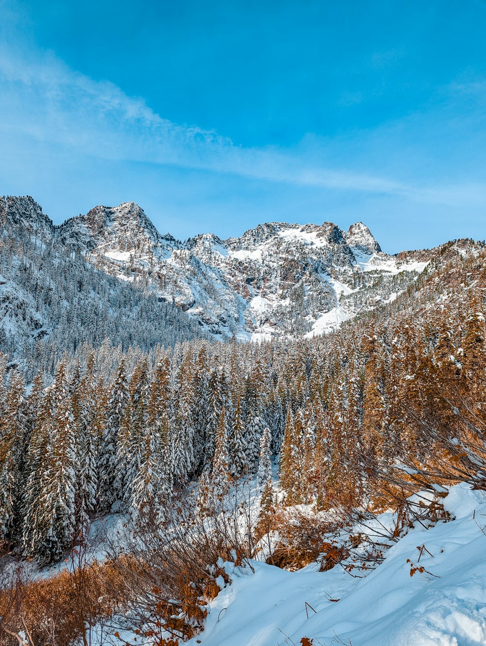 a snow covered mountain with trees in the foreground