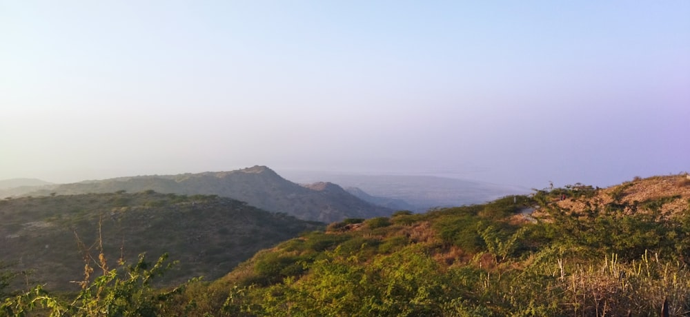 Blick auf eine Bergkette mit Bäumen und Sträuchern