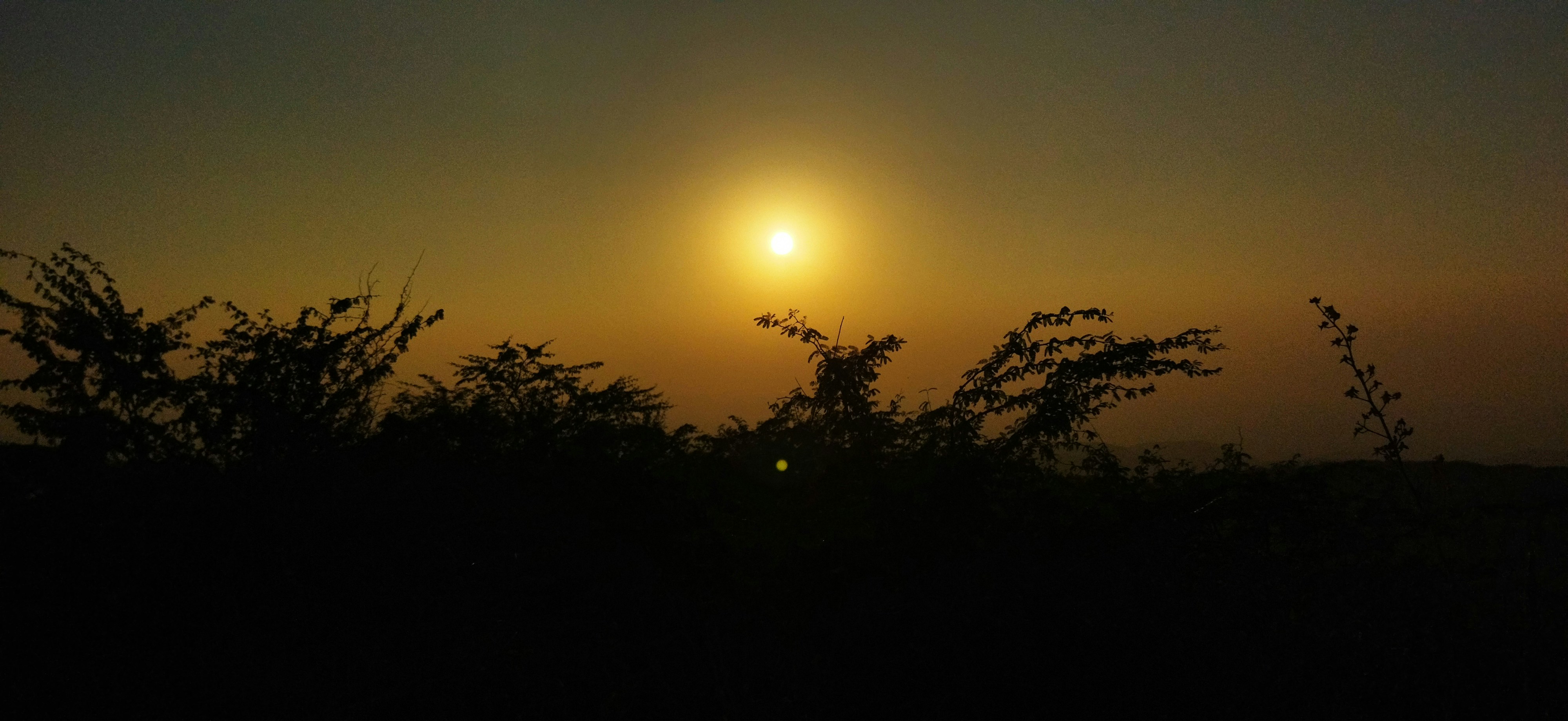 Photo by panditsuraj