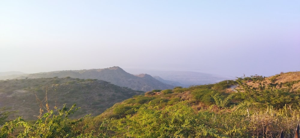 a view of a mountain range with trees and bushes