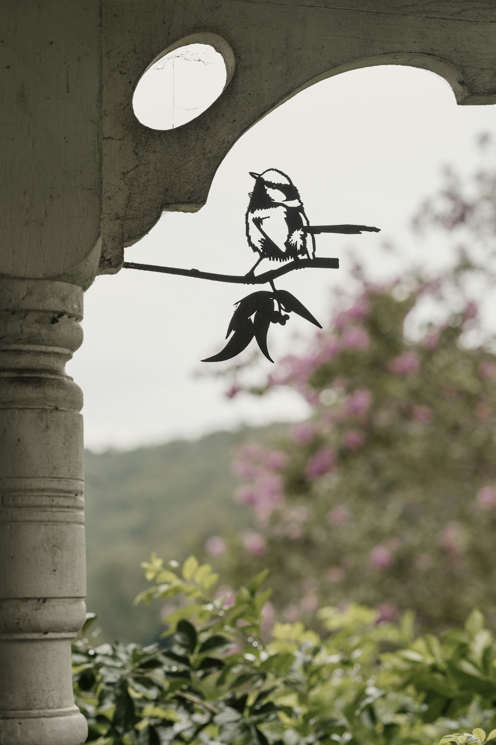 a bird sitting on a branch of a tree