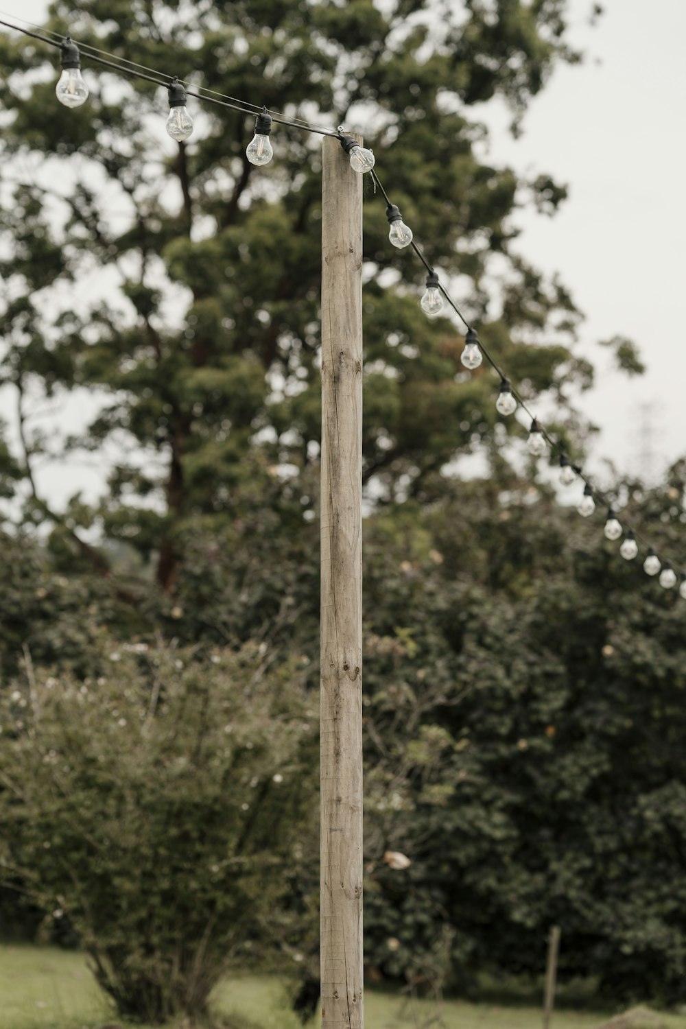 a wooden pole with lights hanging from it