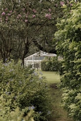 a path in the middle of a garden with a gazebo in the background