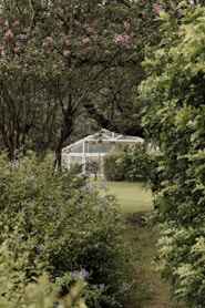 a path in the middle of a garden with a gazebo in the background