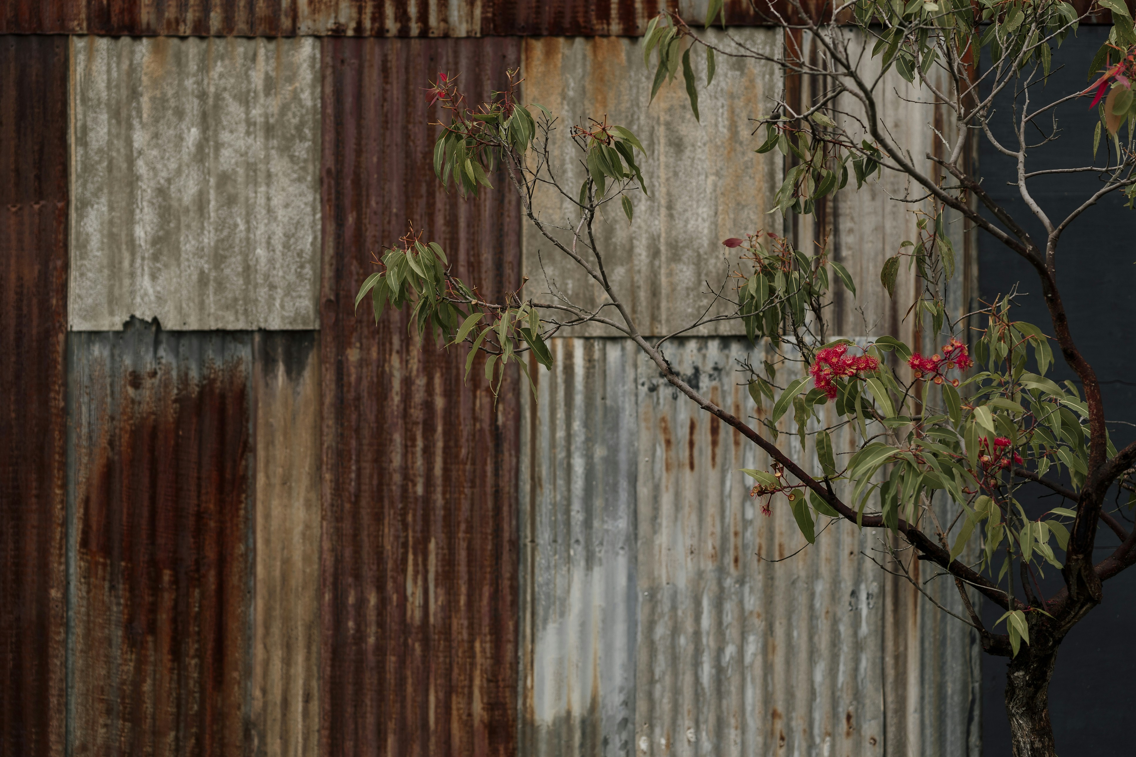 Photo by nerissa_j_photography