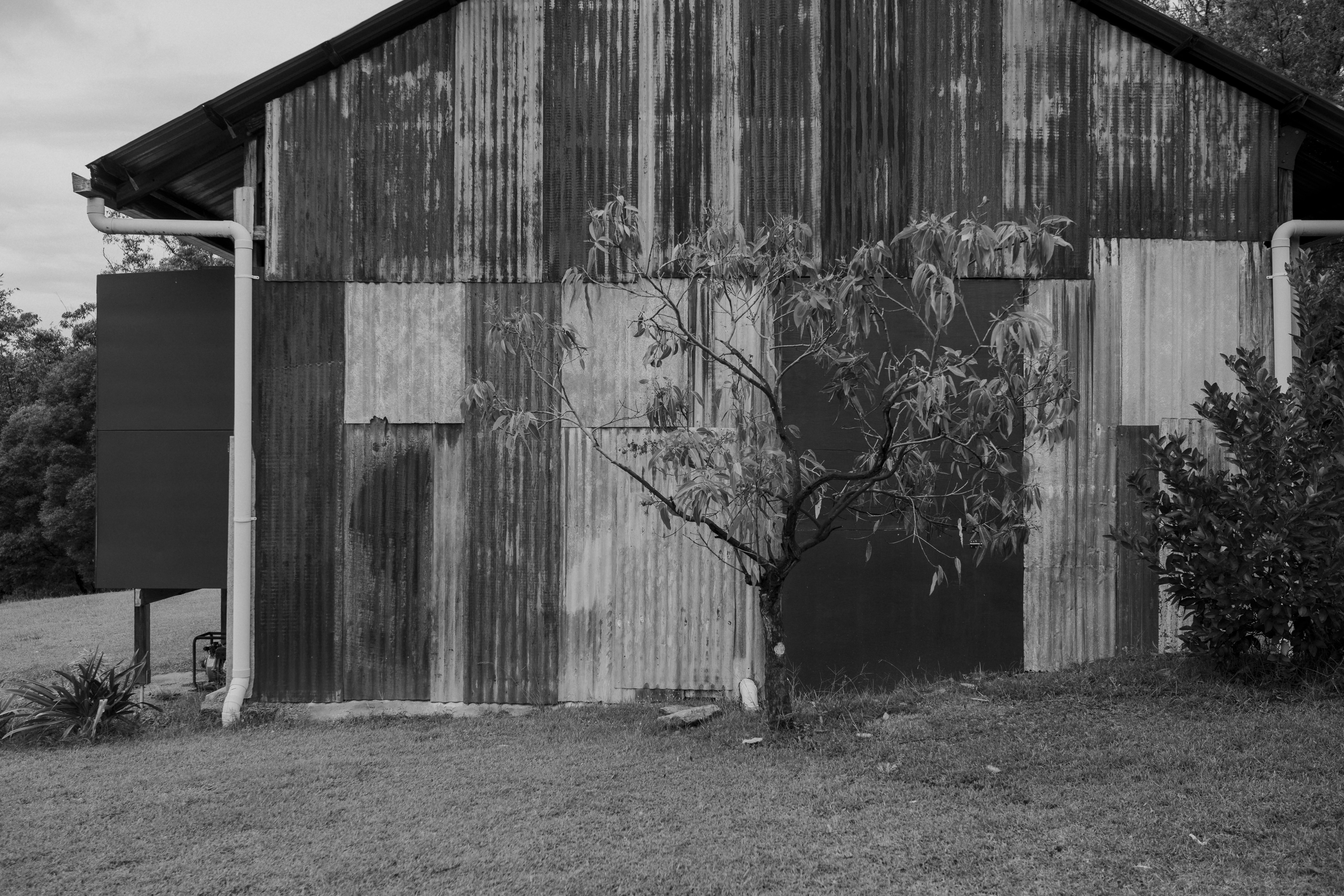 Photo by nerissa_j_photography