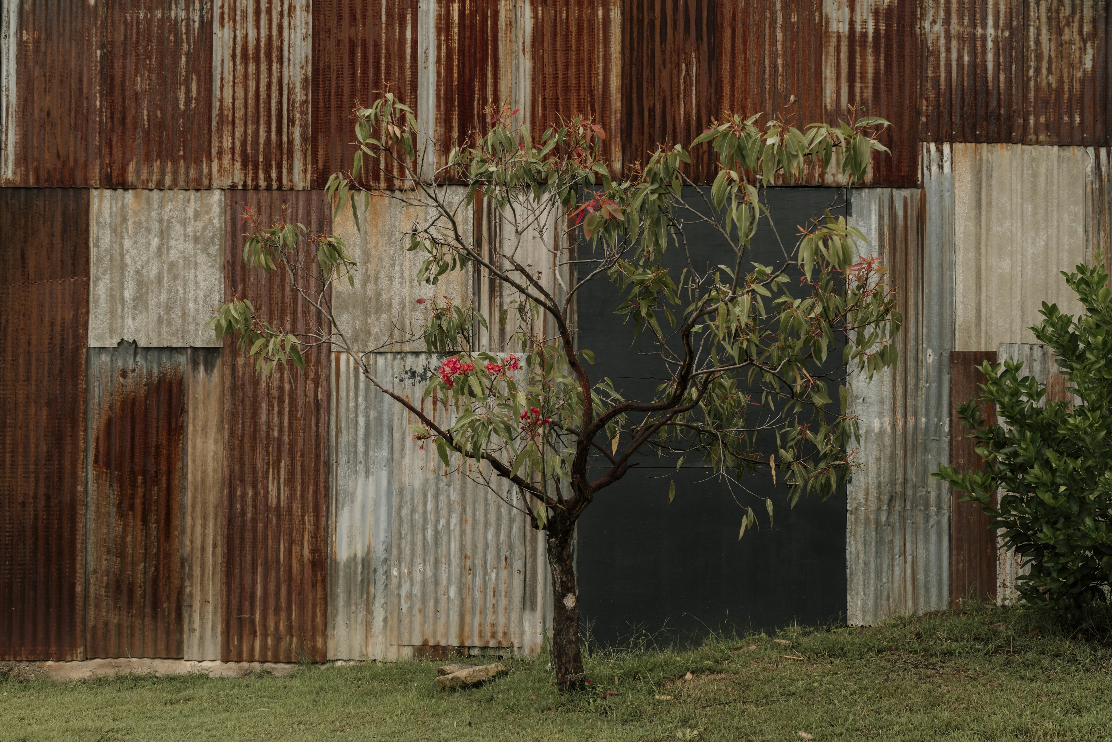 Photo by nerissa_j_photography