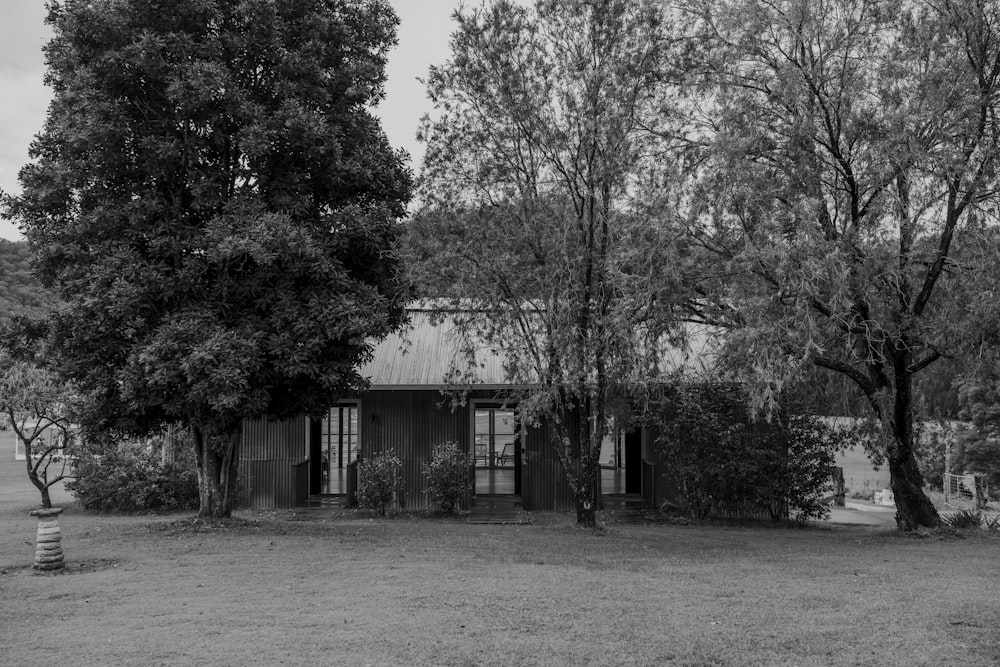 a black and white photo of a house surrounded by trees