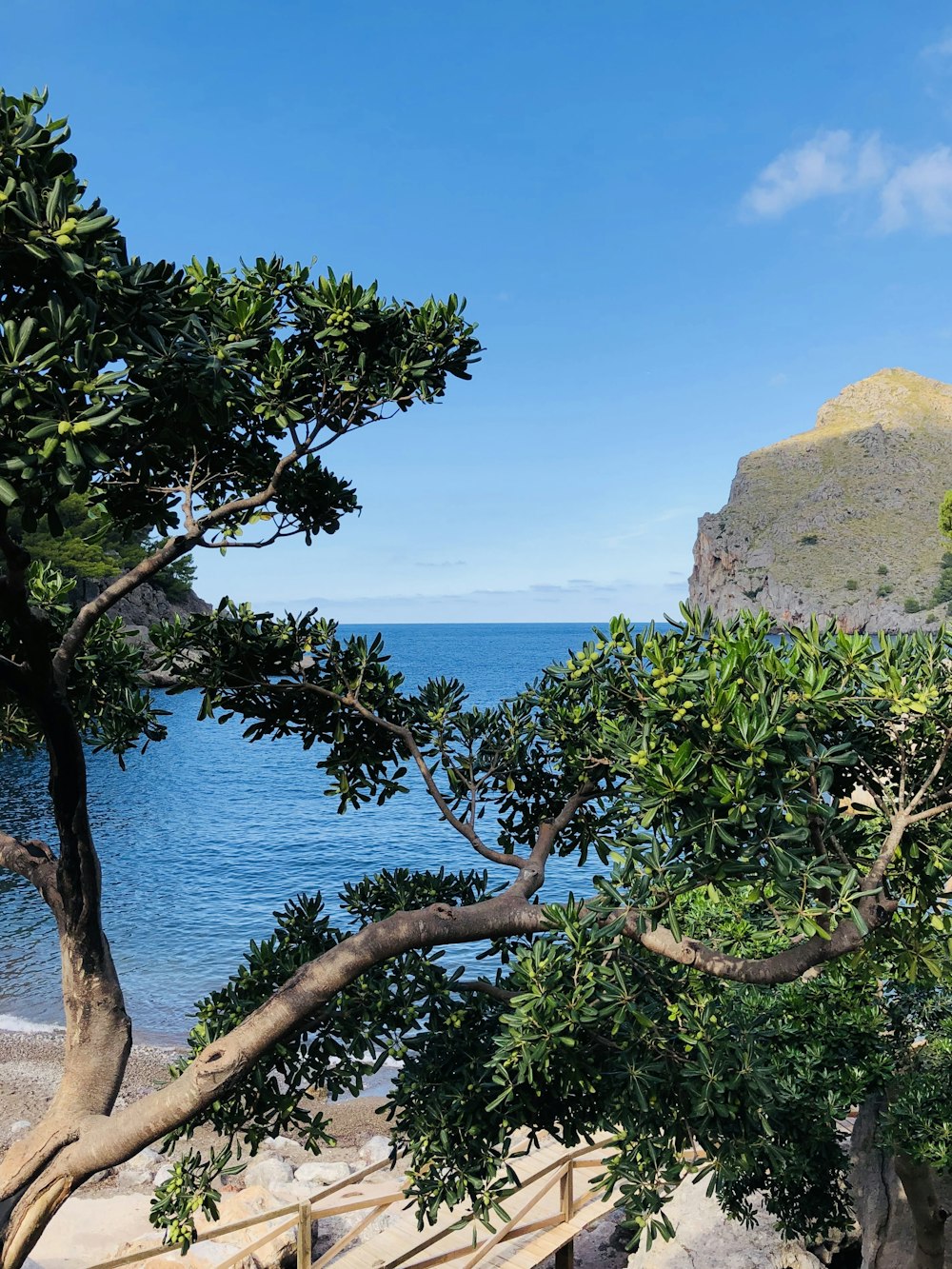 a view of the ocean from the shore of a beach