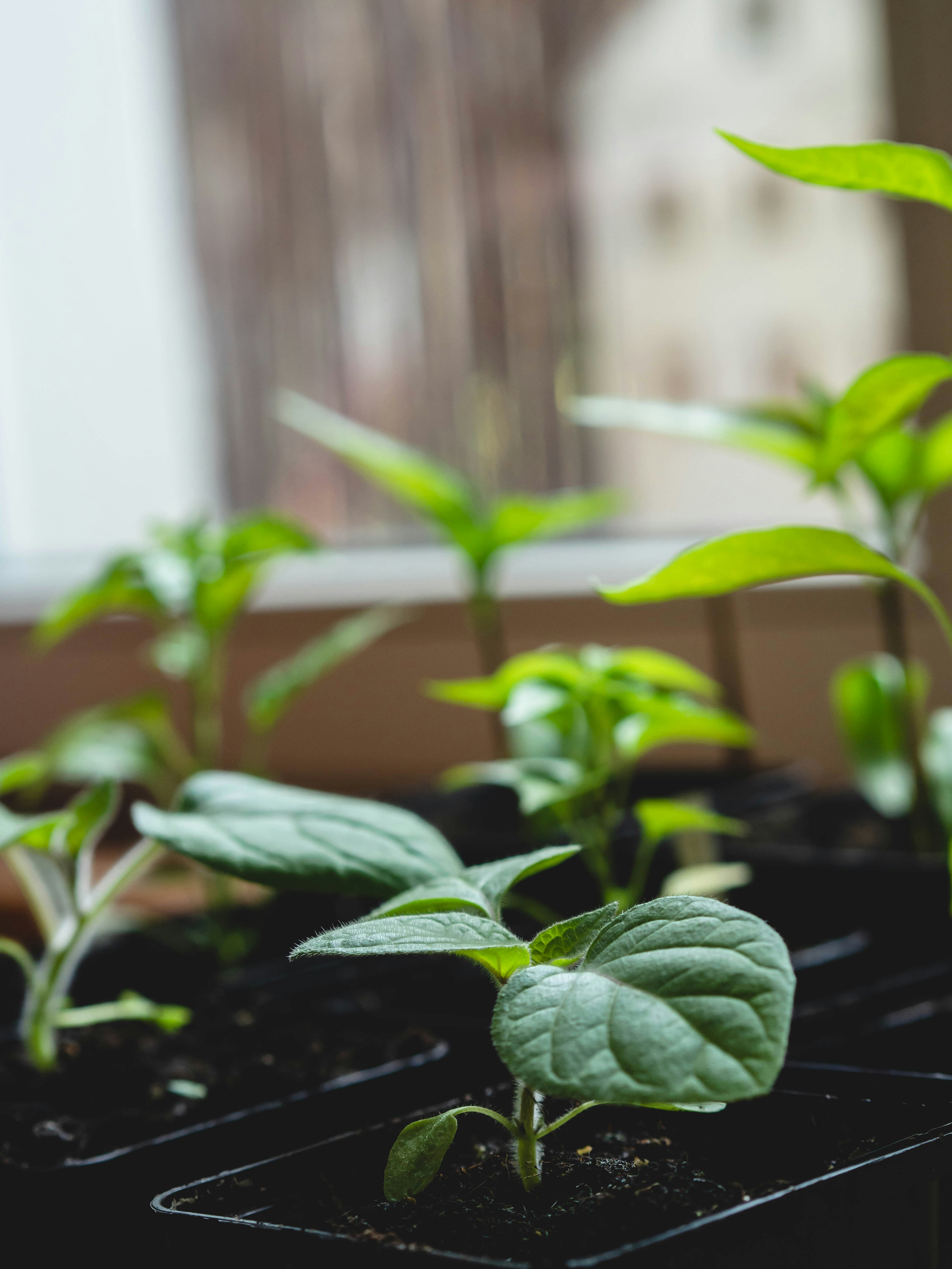 Photo by eileen_kummer