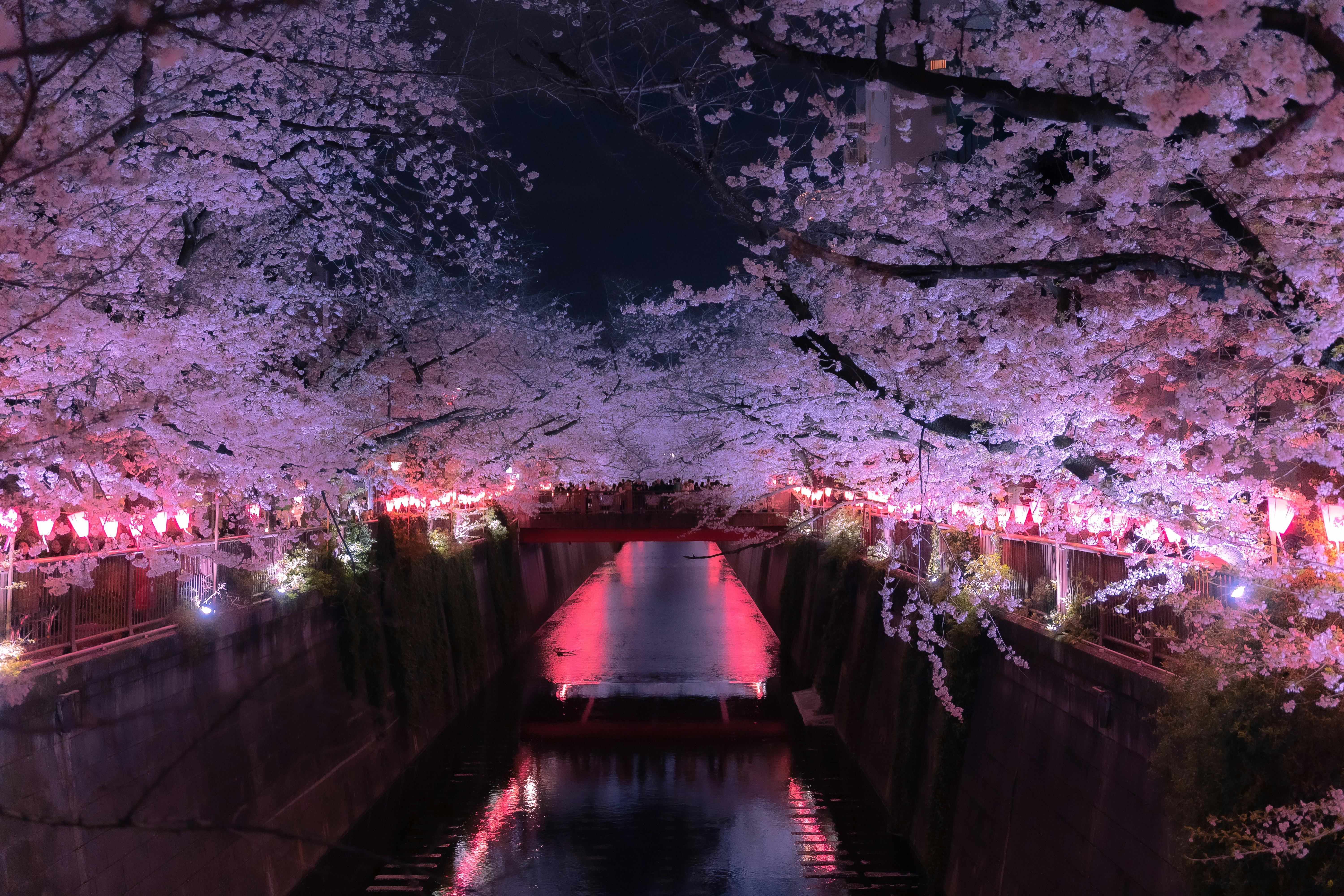 一週學會在日本同人活動說出喜好與習慣：Day 1–Day 7 實用計劃