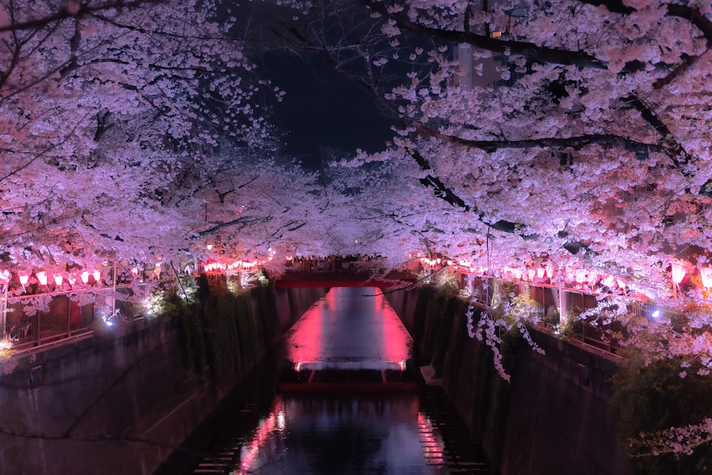 a boat is going down a canal at night