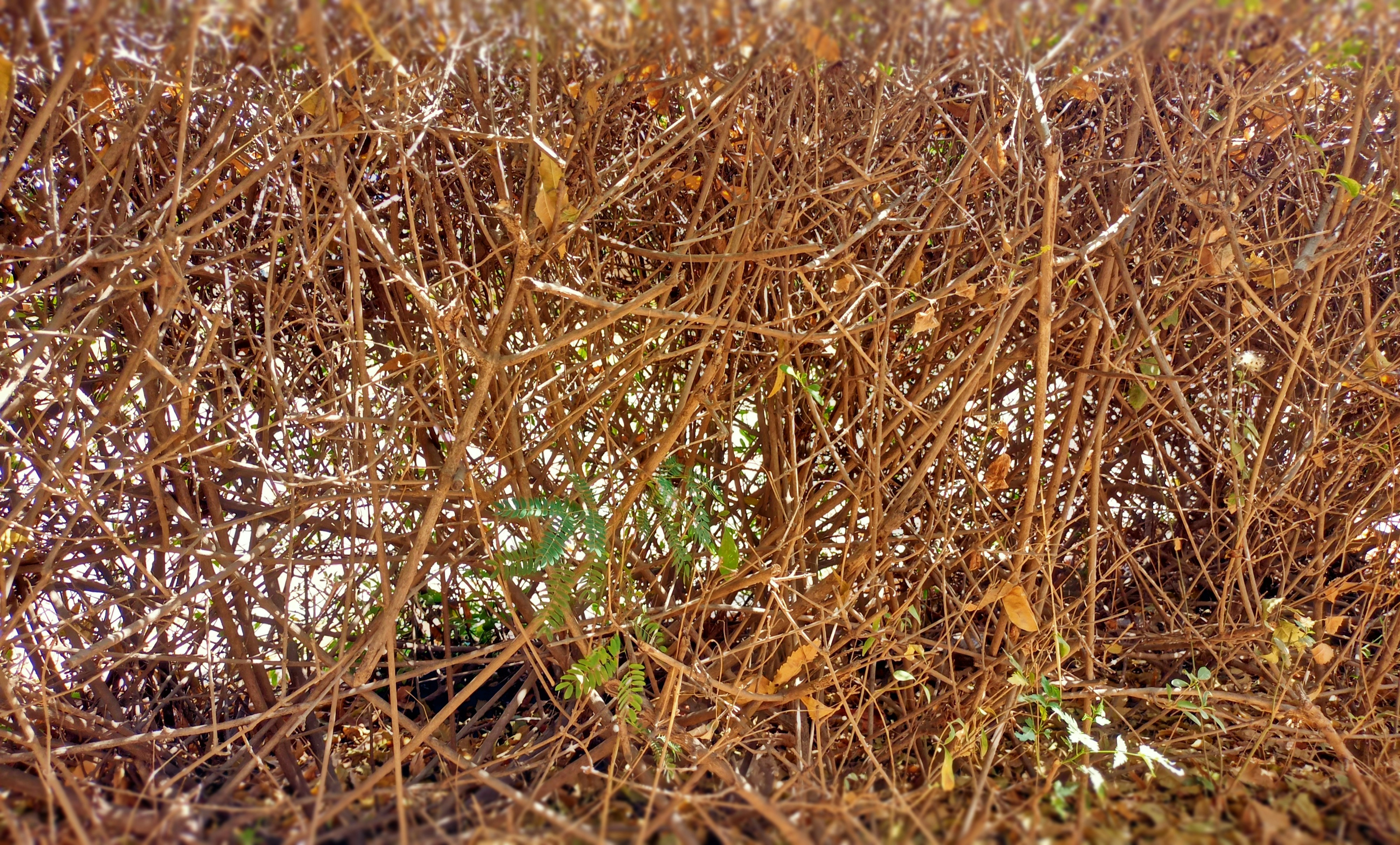 Photo by deeakthakur