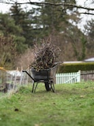 a wheelbarrow full of twigs in a yard
