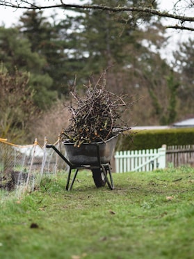a wheelbarrow full of twigs in a yard