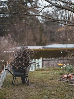 a wheelbarrow full of twigs in a yard