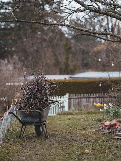 a wheelbarrow full of twigs in a yard