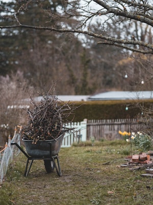 Yard Clearance