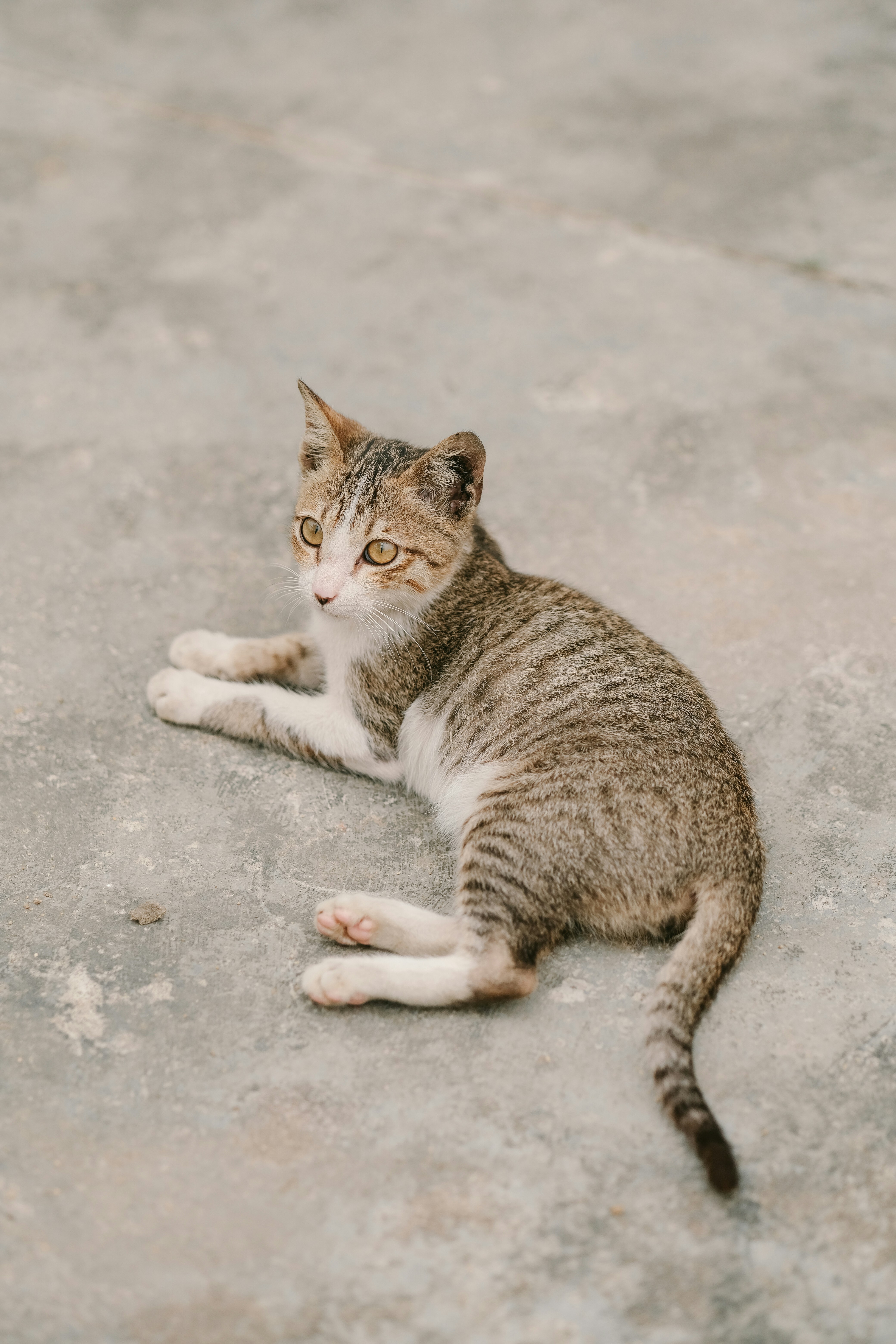 Photo by nguyentrungnguyen