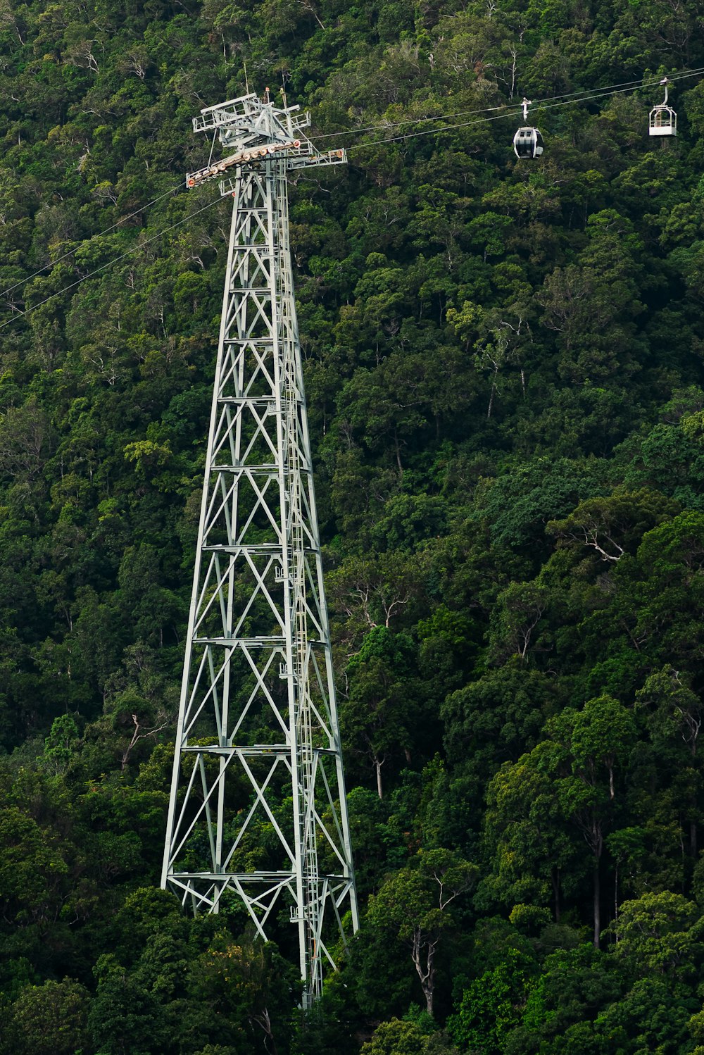 a tall metal tower sitting in the middle of a forest