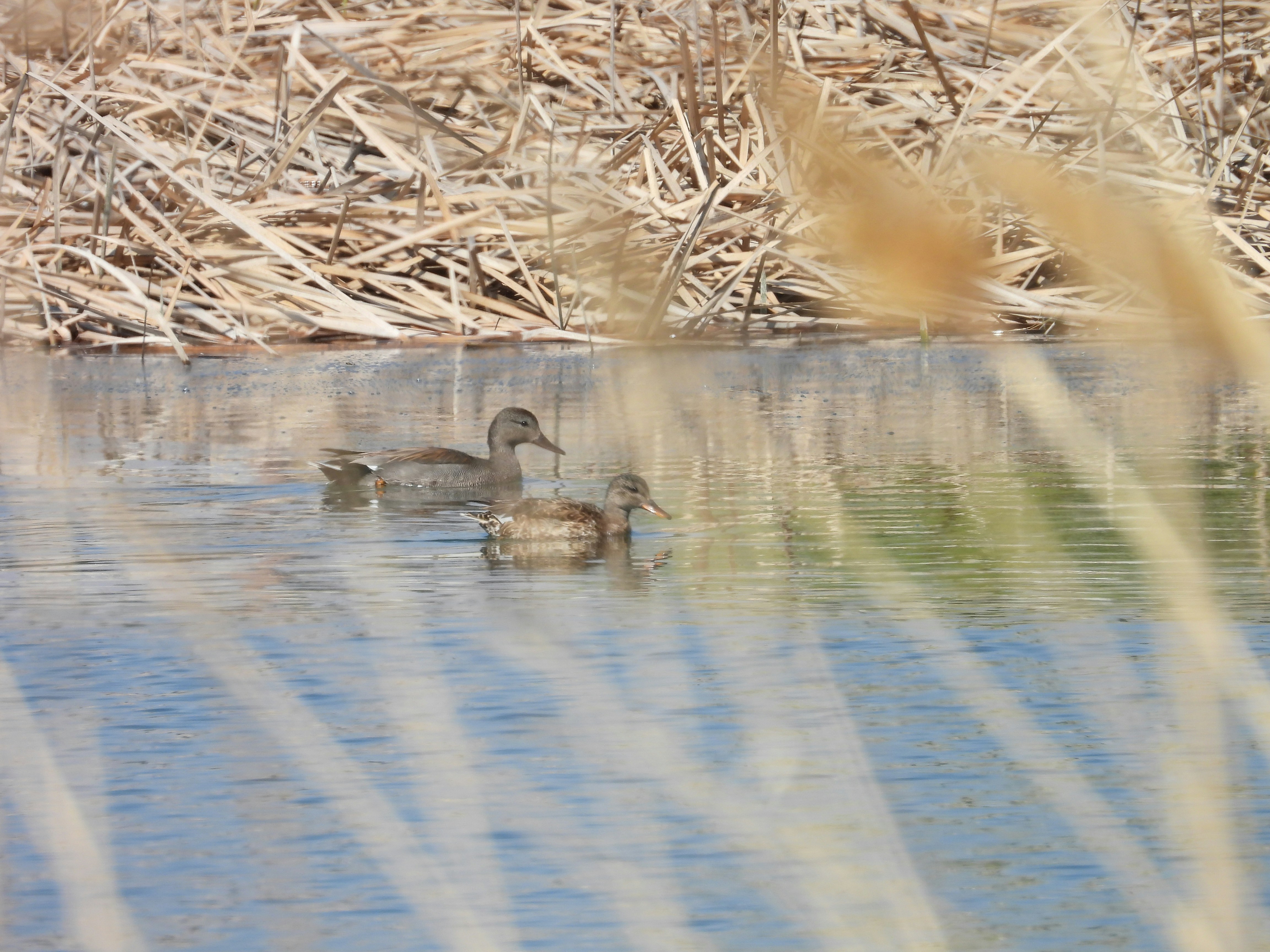 Photo by aliarjmandi