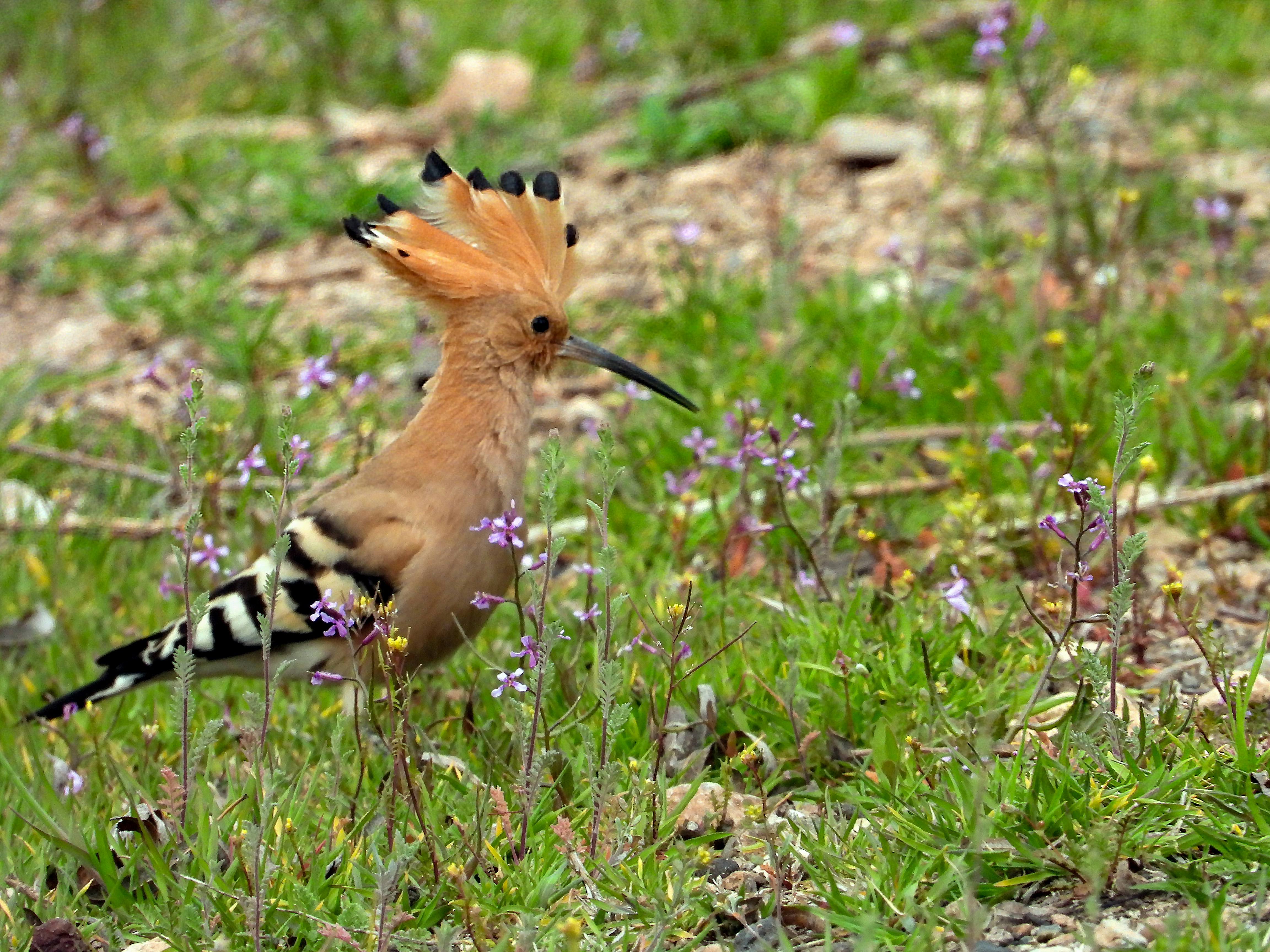 Photo by aliarjmandi